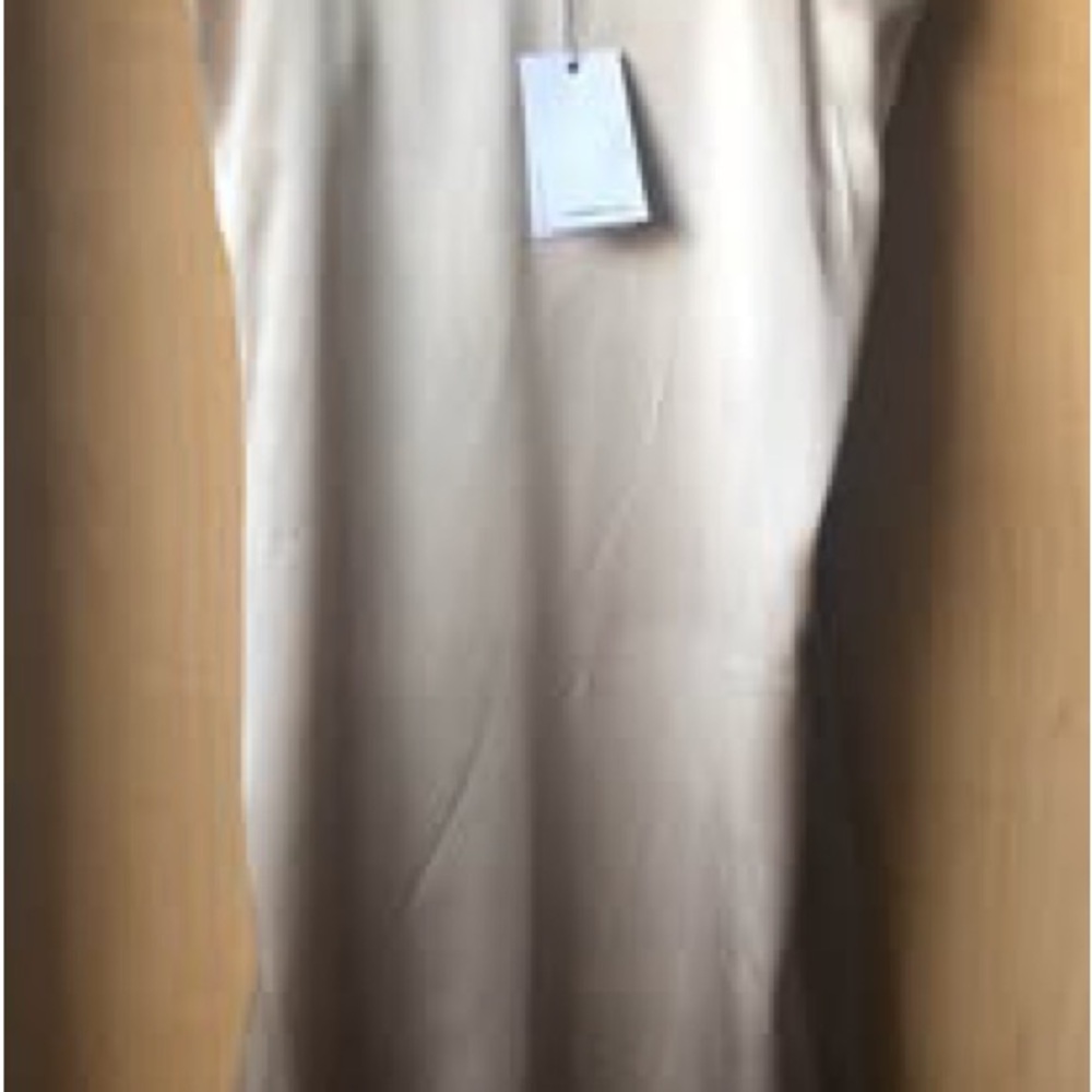 Anine Bing Neutral Beige 100% Silk Slip on Dress
